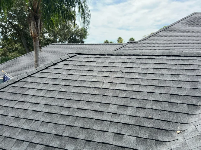 chardani roofing palm coast fl 2026 02 21T17:33:04.848874Z 019c8143 0079 7b51 9dc1 1e7aa6ee7f31